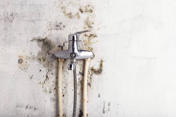 Water Damage Restoration in Breckenridge, MI