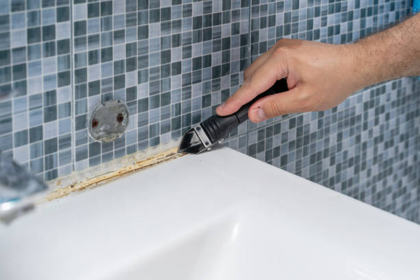 Best Toxic Mold Removal  in Breckenridge, MI